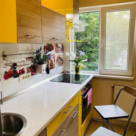 City Center Apartment Timişoara Eksteriør billede