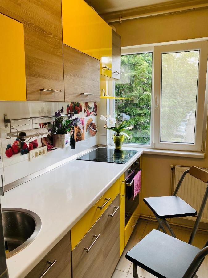 City Center Apartment Timişoara Eksteriør billede