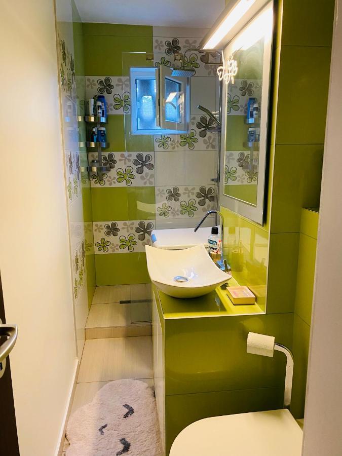 City Center Apartment Timişoara Eksteriør billede