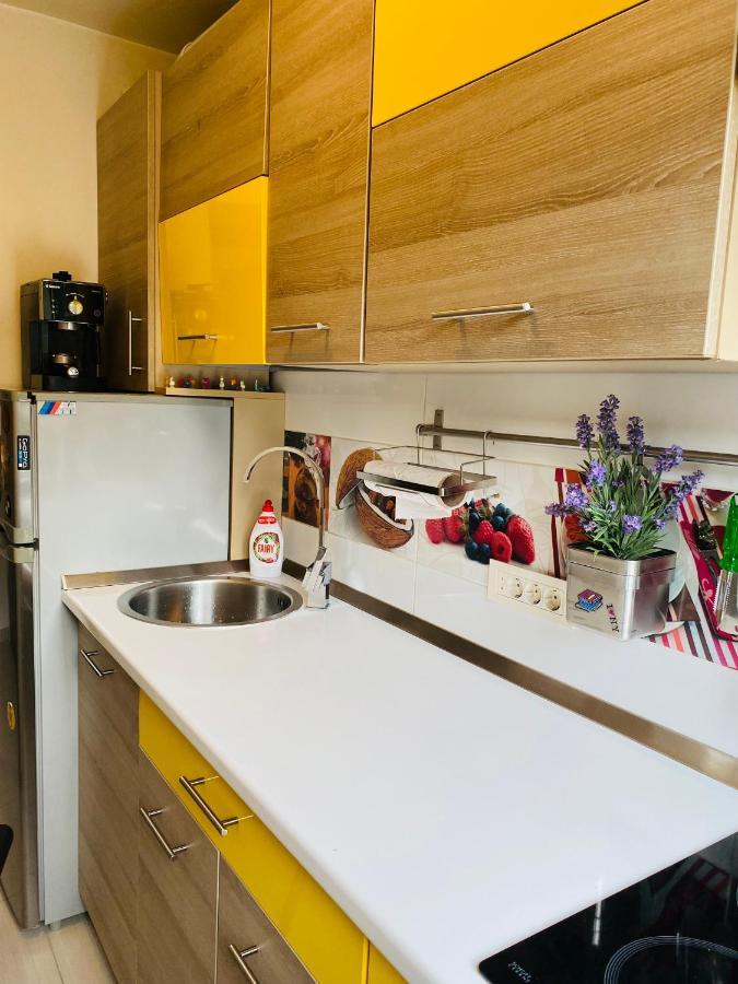 City Center Apartment Timişoara Eksteriør billede